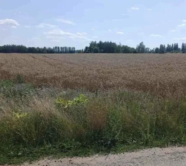 Продам землю у Карпатах 0,16га.